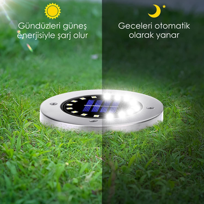 Livozy Solar Lamba