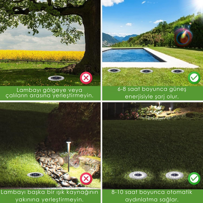 Livozy Solar Lamba