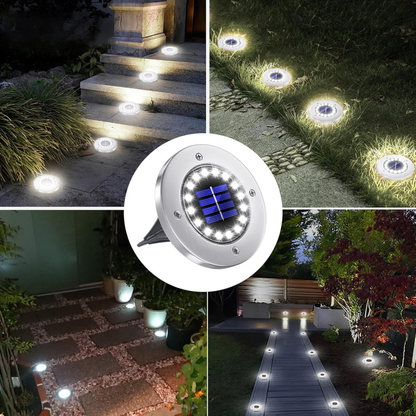 Livozy Solar Lamba